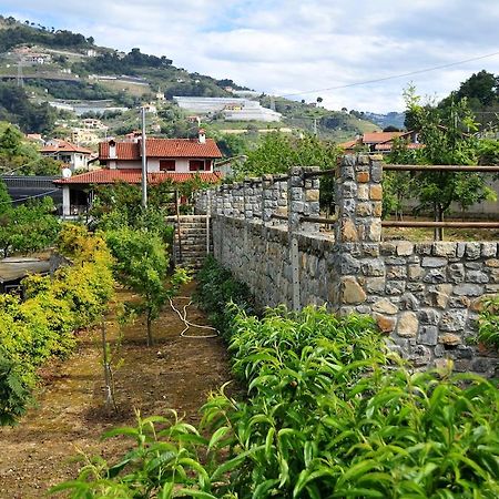 הוילה San Biagio della Cima Le Rose מראה חיצוני תמונה