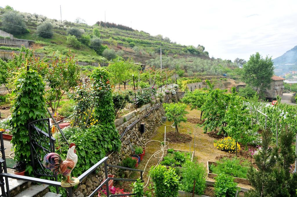 הוילה San Biagio della Cima Le Rose מראה חיצוני תמונה