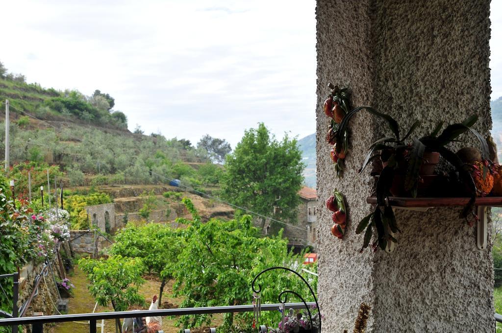 הוילה San Biagio della Cima Le Rose מראה חיצוני תמונה