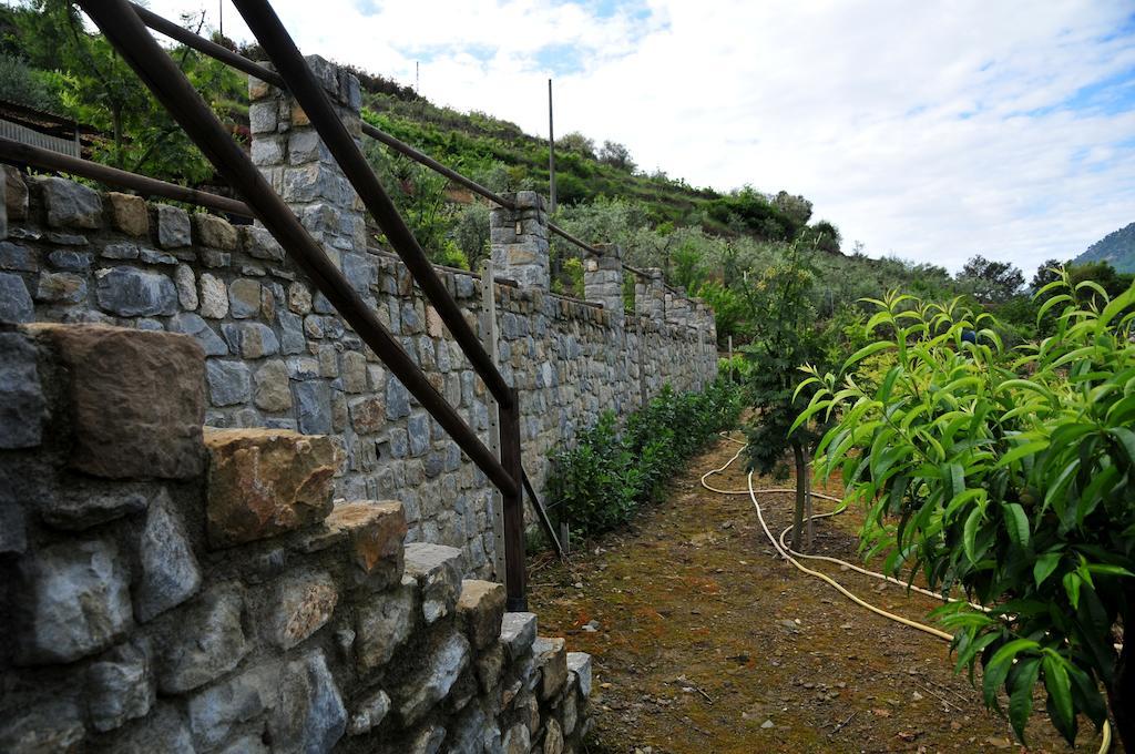 הוילה San Biagio della Cima Le Rose מראה חיצוני תמונה